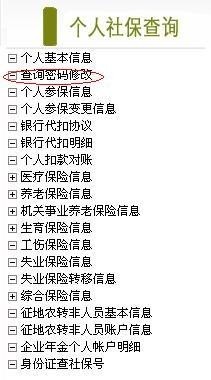 成都市个人社保查询操作指南 图文3